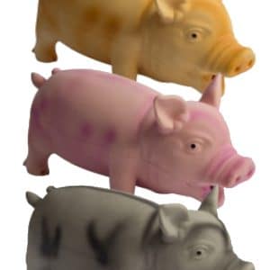 Cerdo con ronquido para perros