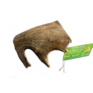 asta de gamo talla l