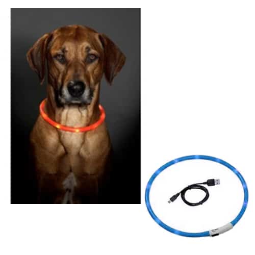 Collar led azul