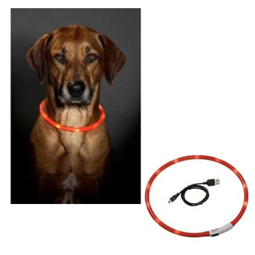 Collar led