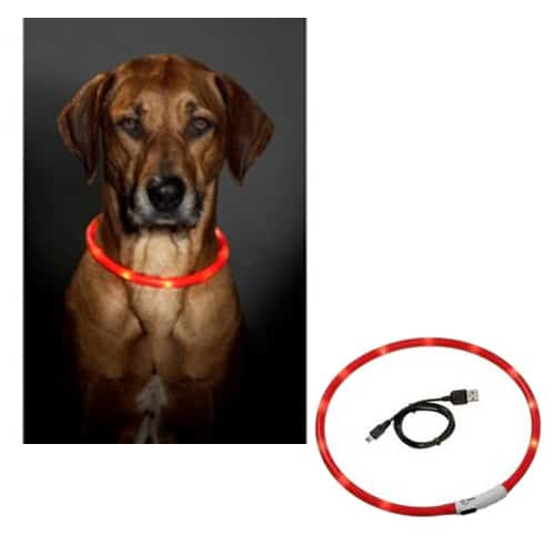Collar led rojo