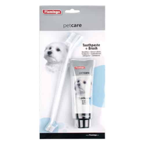 Pasta de dientes + cepillo