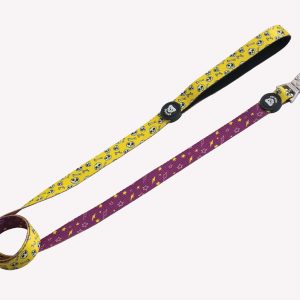correa calaveras bicolor dukier t1