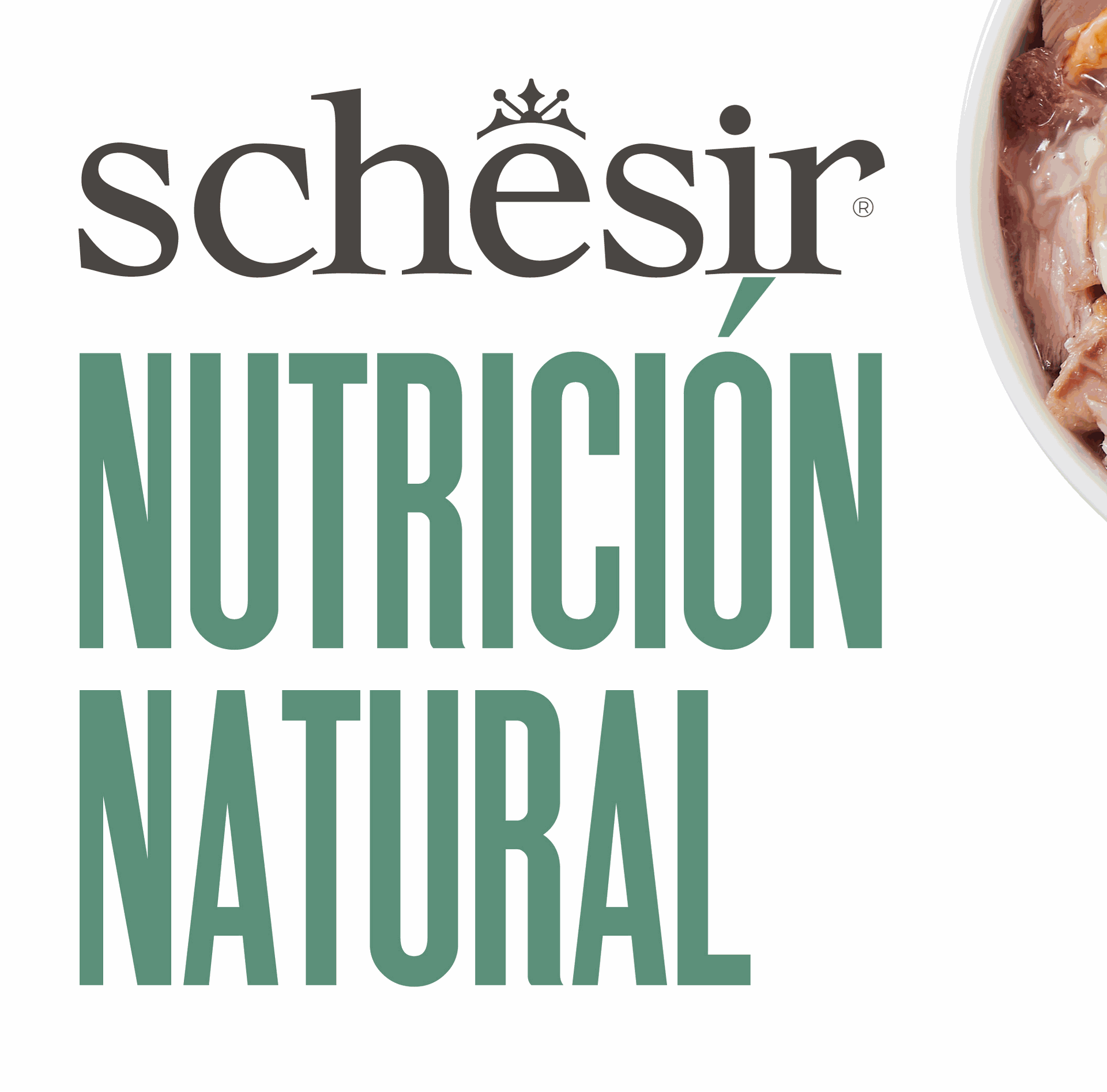 schesir banner in spanish