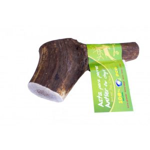 asta de ciervo talla xl