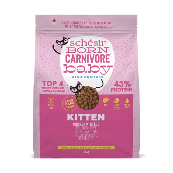 schesir pienso born carnivore kitten pollo con huevo 255 gr