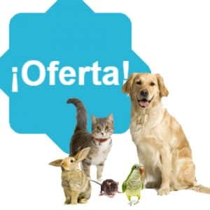 Ofertas