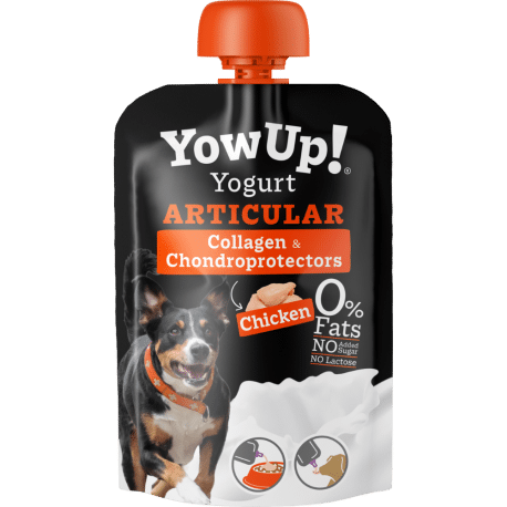 yowup articular yogurt con colágeno