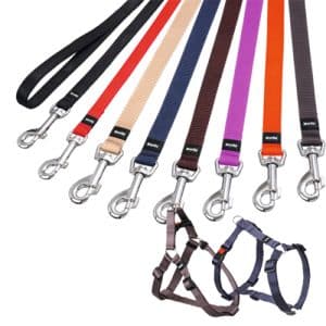 Collares, correas y arneses de nylon Art Sportiv