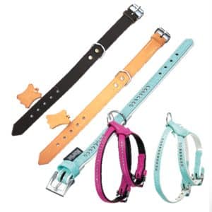 Collares, correas y arneses de piel