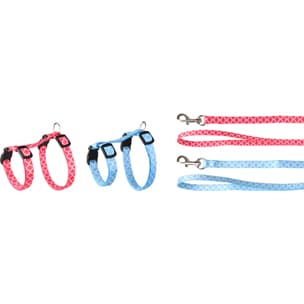 Arnés para gatitos+correa Amsi T.1