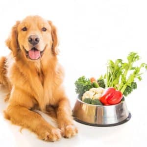 ALIMENTACIÓN